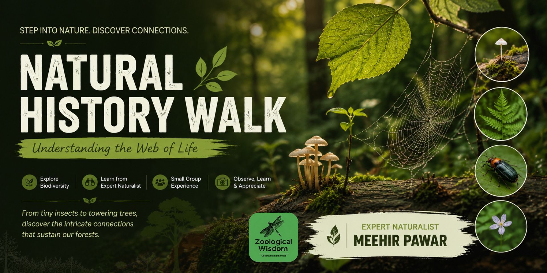 media-desktop-natural-history-walk-understanding-the-web-of-lif-0-2026-6-23-t-16-32-21.jpg