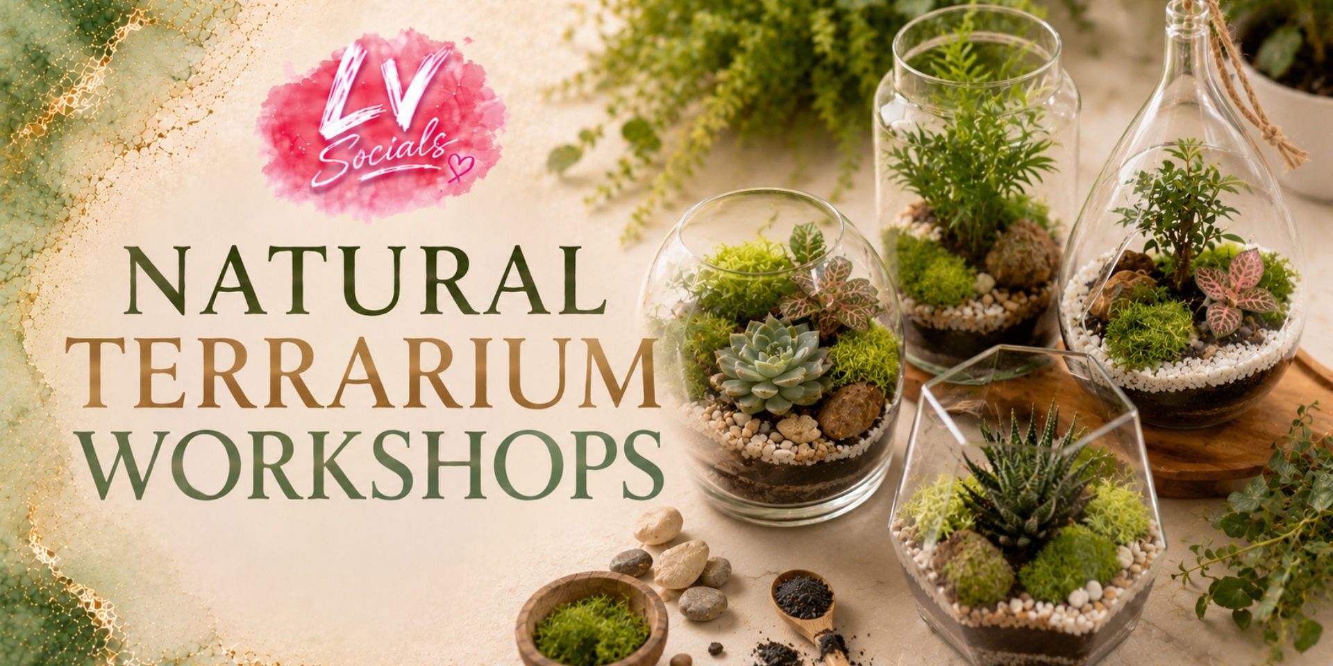 media-desktop-natural-terrarium-workshop-0-2026-6-26-t-12-52-54.jpg
