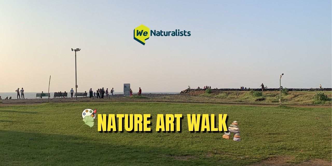media-desktop-nature-art-walk-0-2026-2-19-t-11-32-1.jpg