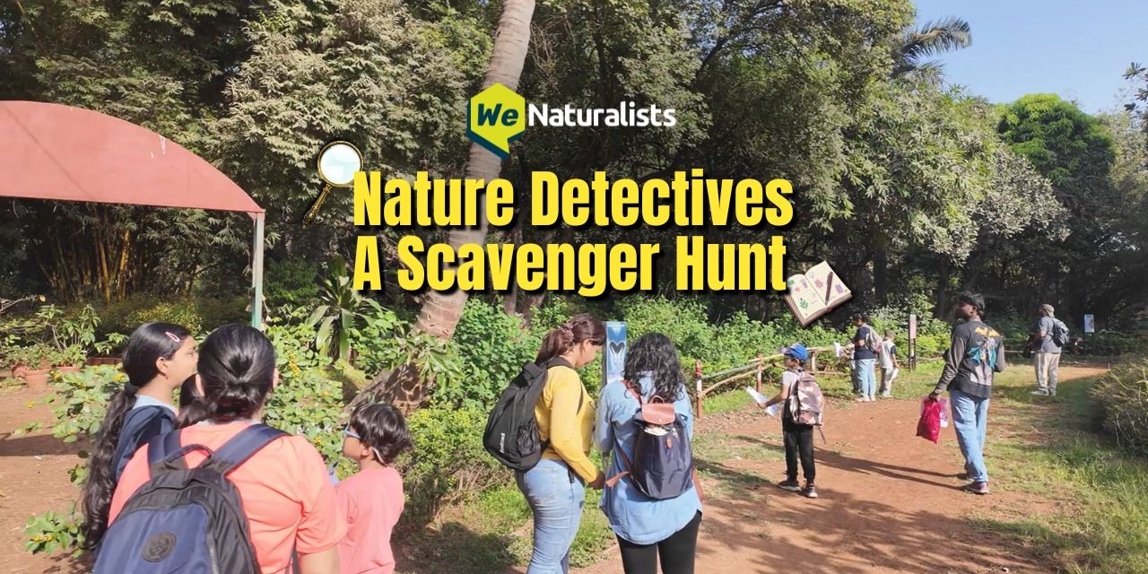 media-desktop-nature-detectives-ascavenger-hunt-0-2026-6-10-t-6-15-24.jpg