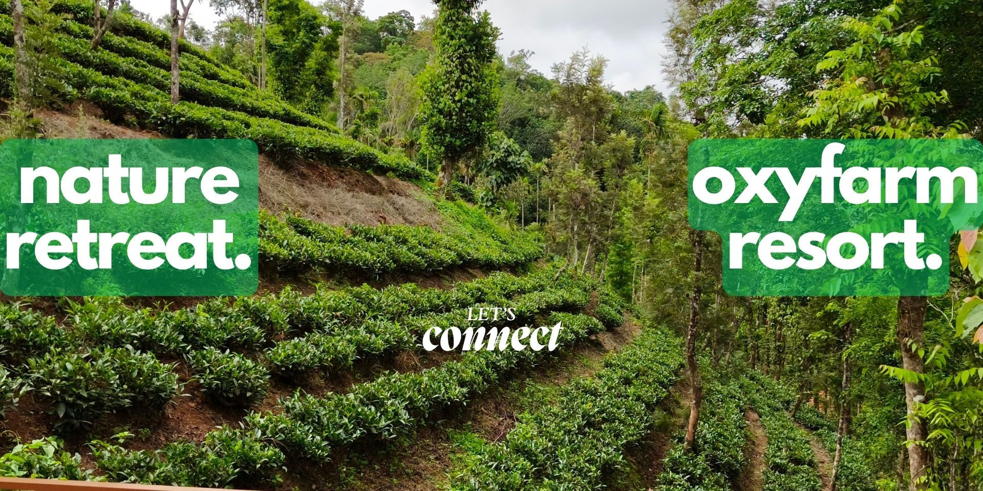 media-desktop-nature-retreat-at-oxyfarm-resort-wayanad-0-2026-10-30-t-15-9-15.jpg