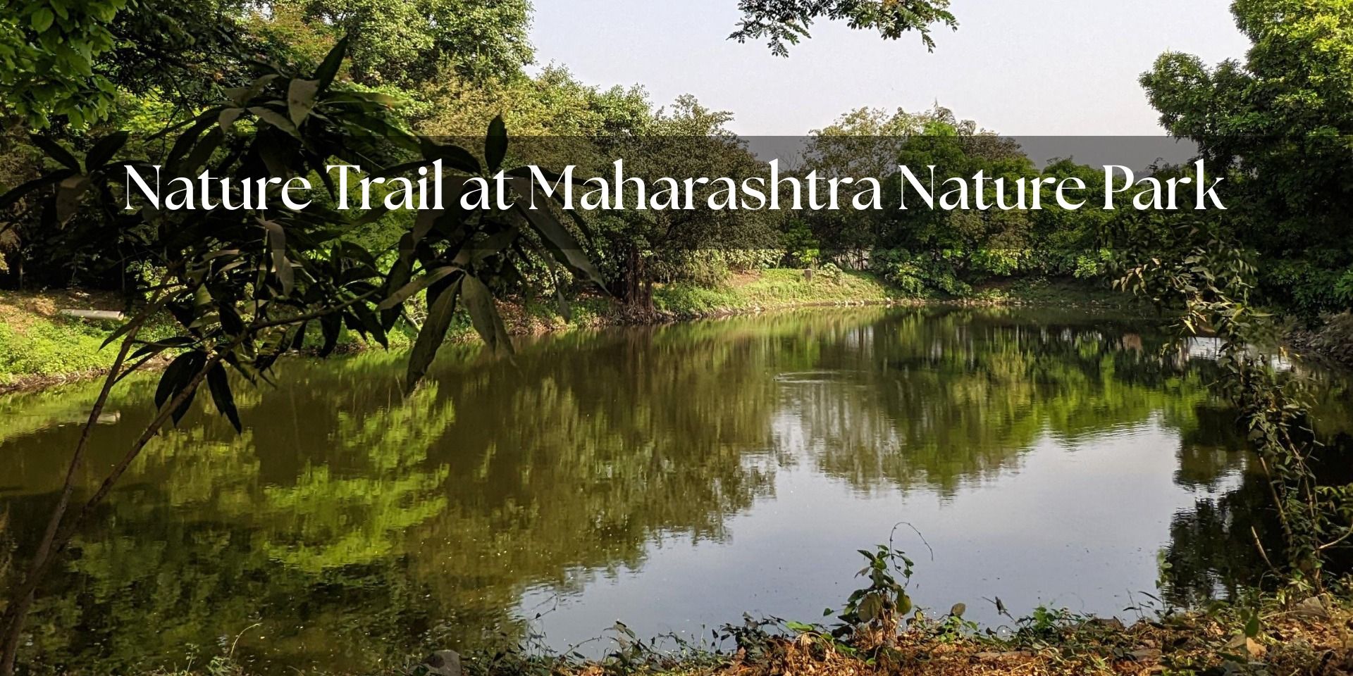 media-desktop-nature-trail-at-maharashtra-nature-park-0-2026-4-11-t-11-19-42.jpg