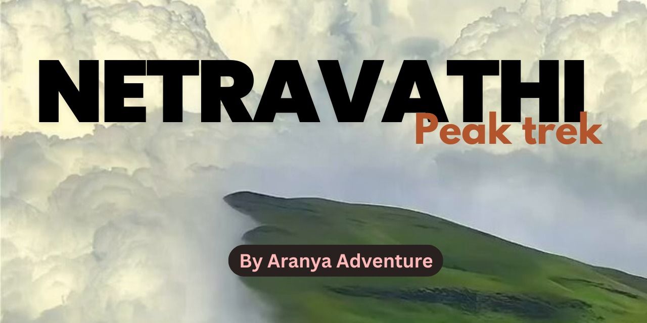 media-desktop-netravathi-trek-chikmagalur-0-2025-1-15-t-7-31-59.jpg