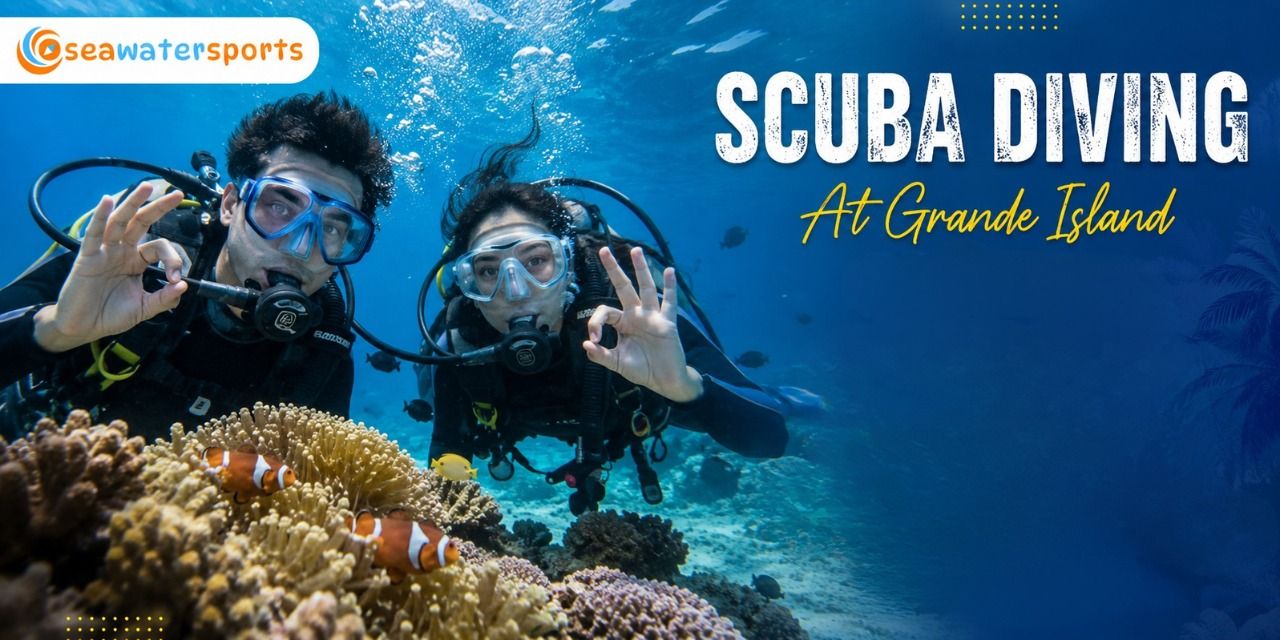media-desktop-north-goa-scuba-diving-at-grande-island-0-2026-7-31-t-9-56-22.jpg