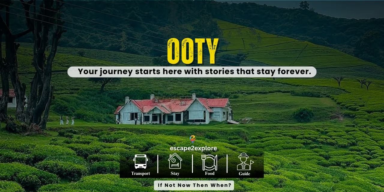 media-desktop-ooty-0-2026-8-5-t-12-43-30.jpg