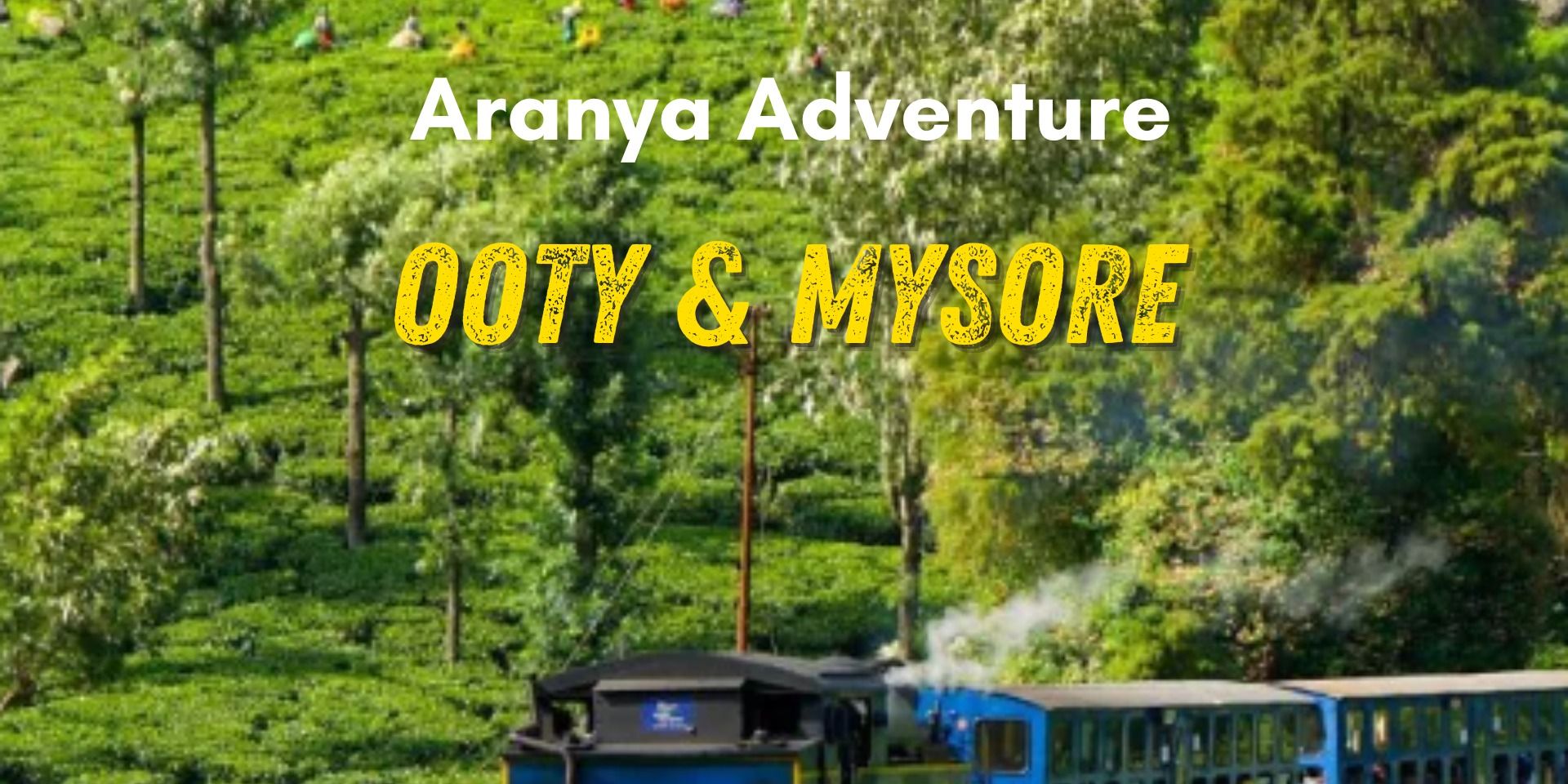 Ooty and Mysore trip from Bangalore