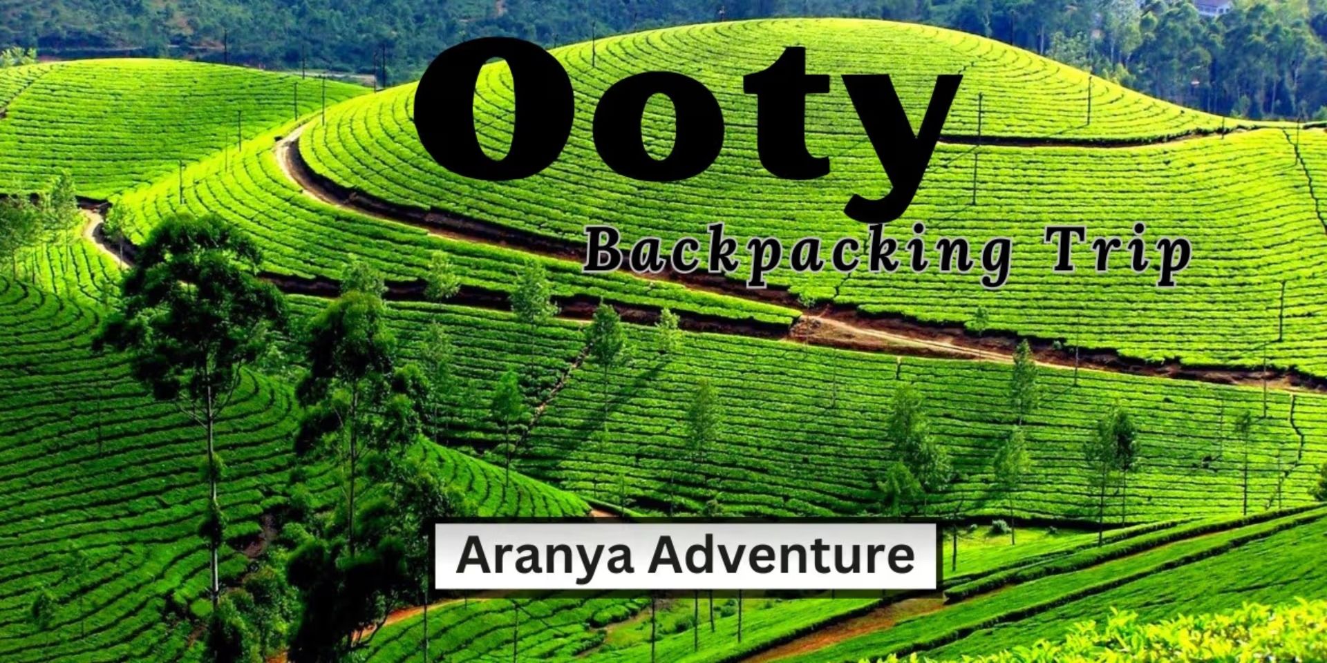 Ooty Trip from Bangalore in Bengaluru