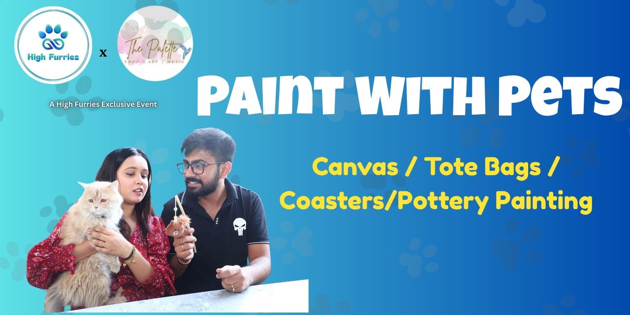 media-desktop-paint-with-pets-0-2025-5-24-t-10-24-4.jpg