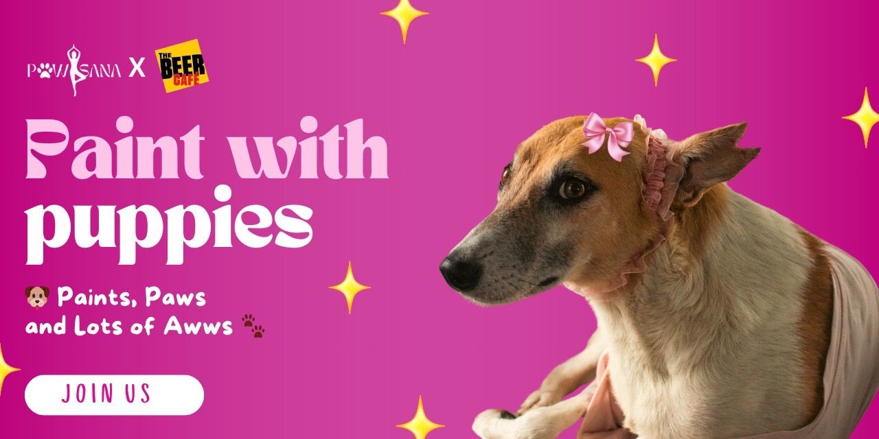 media-desktop-paint-with-puppies-by-pawasana-0-2024-11-5-t-11-20-6.jpg