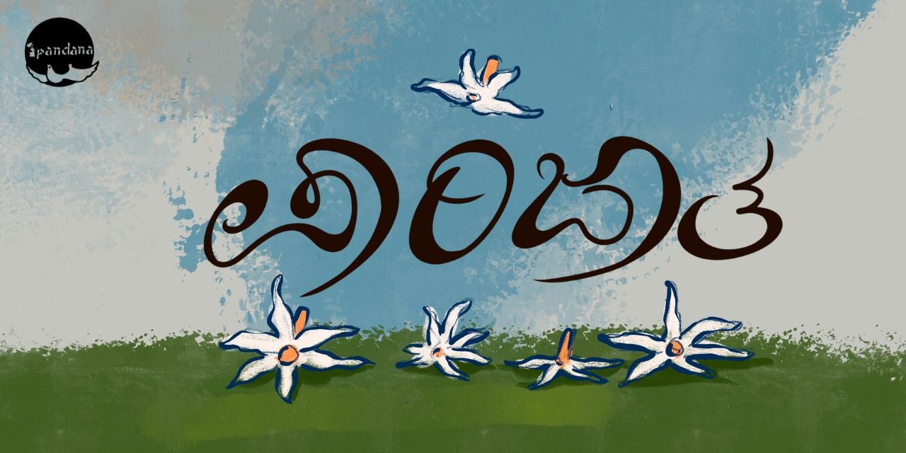 media-desktop-parijata-0-2023-12-20-t-11-14-18.jpg