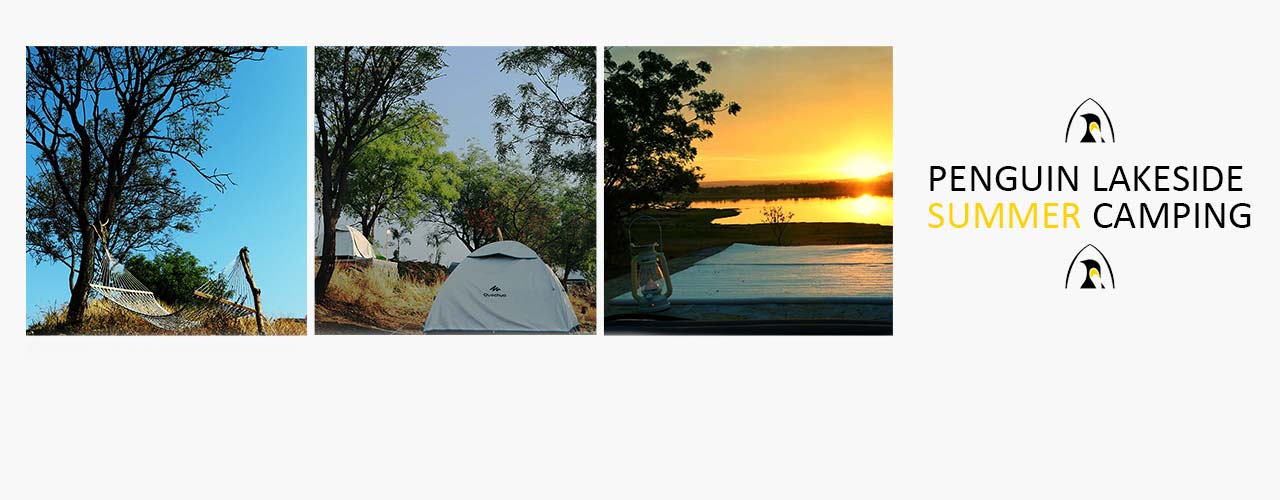 media-desktop-penguin-lakeside-summer-camping-2019-3-22-t-18-29-28.jpg