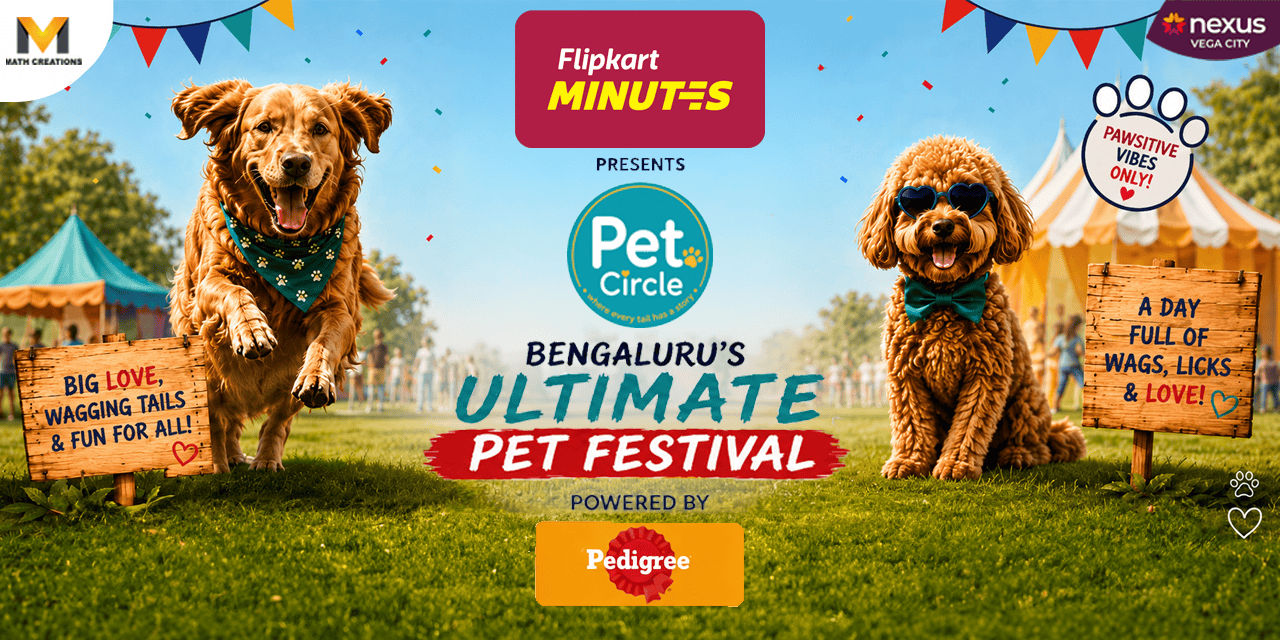 media-desktop-pet-circle-0-2026-6-14-t-4-36-30.jpg