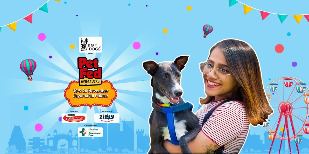 media-desktop-pet-fed-bengaluru-2022-0-2022-11-19-t-10-50-13.jpg