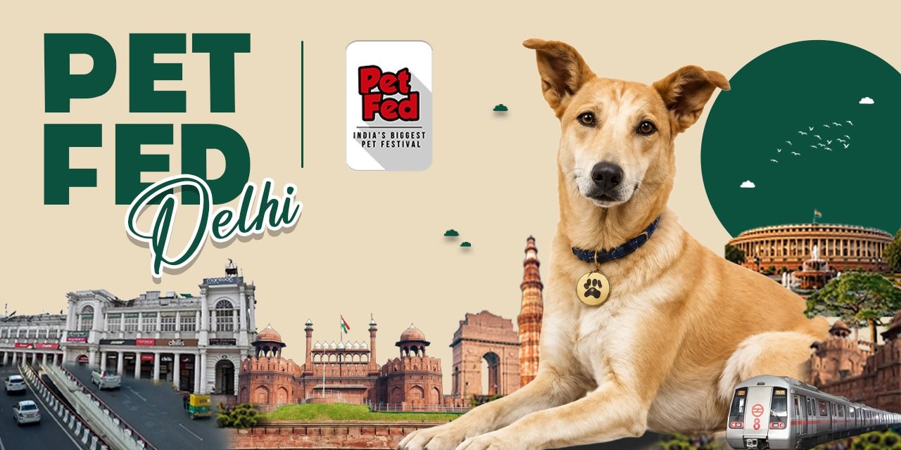 media-desktop-pet-fed-delhi-2026-0-2026-10-1-t-16-36-45.jpg