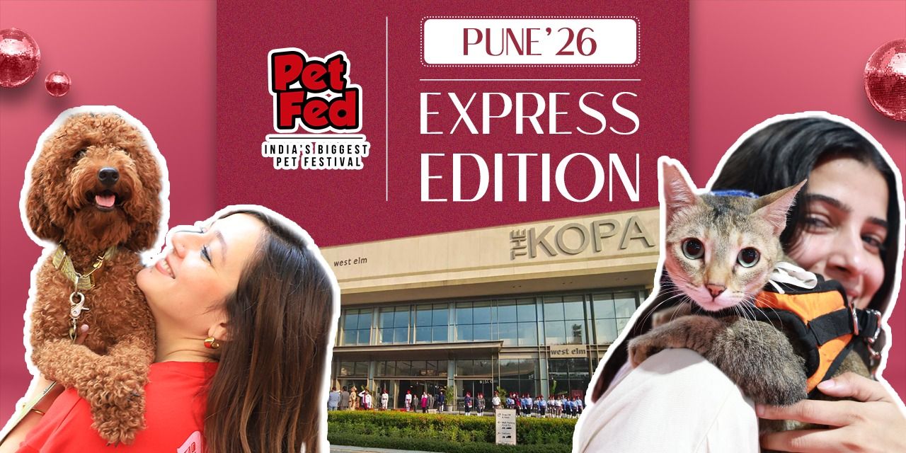media-desktop-pet-fed-pune-express-edition-2026-0-2026-8-27-t-16-54-13.jpg
