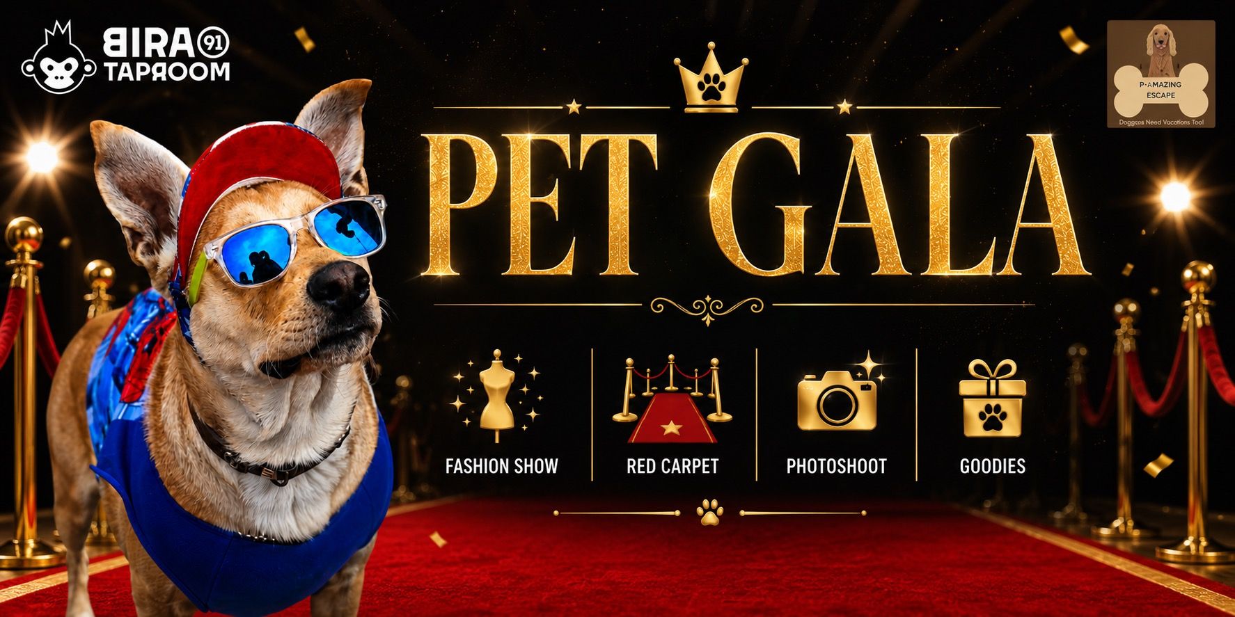 media-desktop-pet-gala-0-2026-6-9-t-14-43-32.jpg