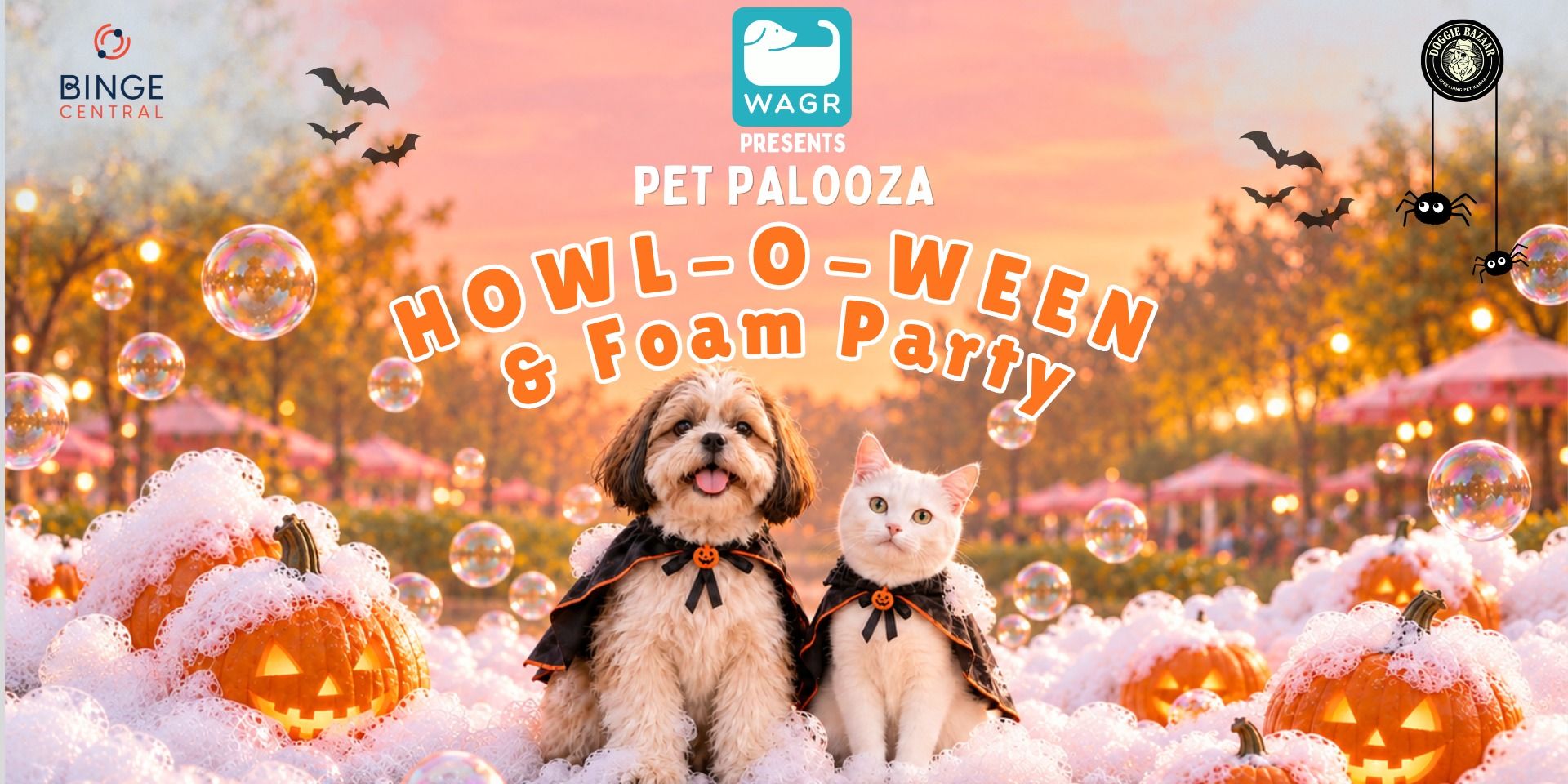 media-desktop-pet-palooza-halloween-party-foam-festival-noida-0-2026-10-15-t-10-2-13.jpg