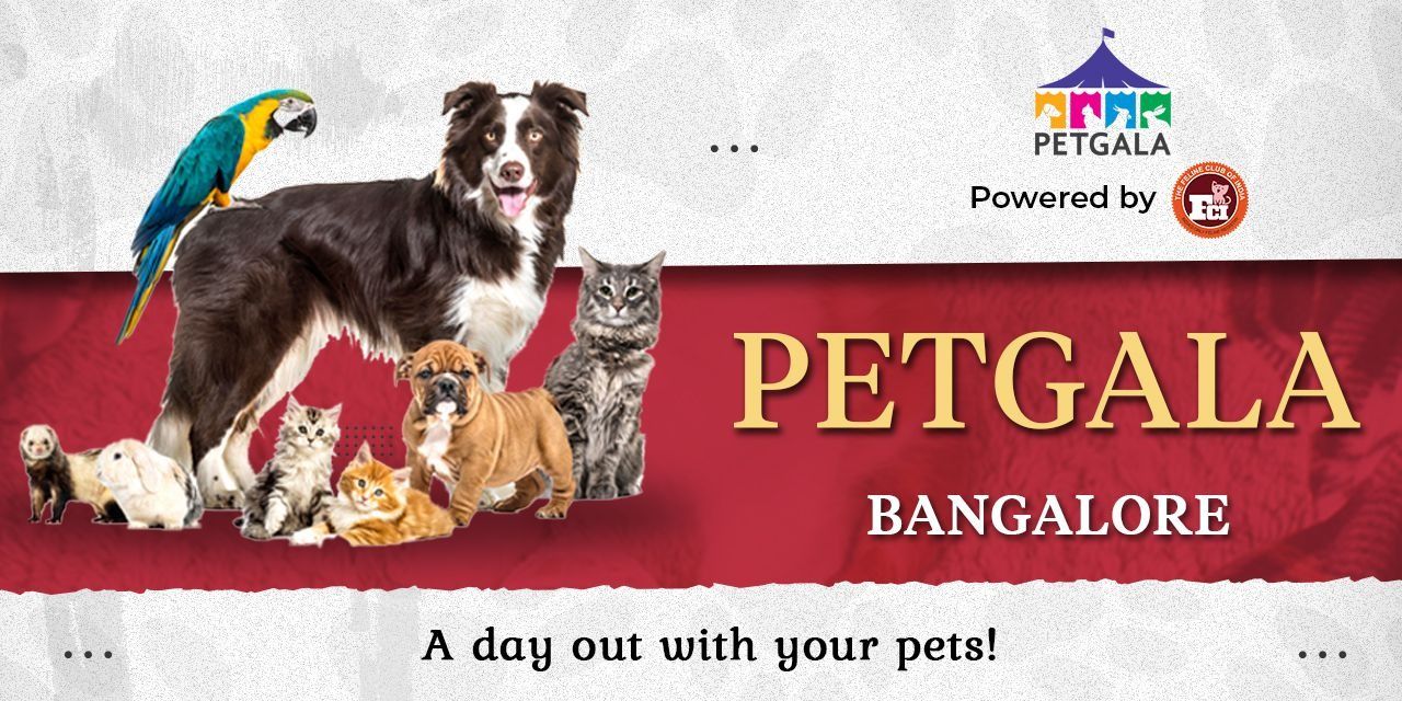 media-desktop-petgala-bangalore-0-2022-5-26-t-14-59-29.jpg