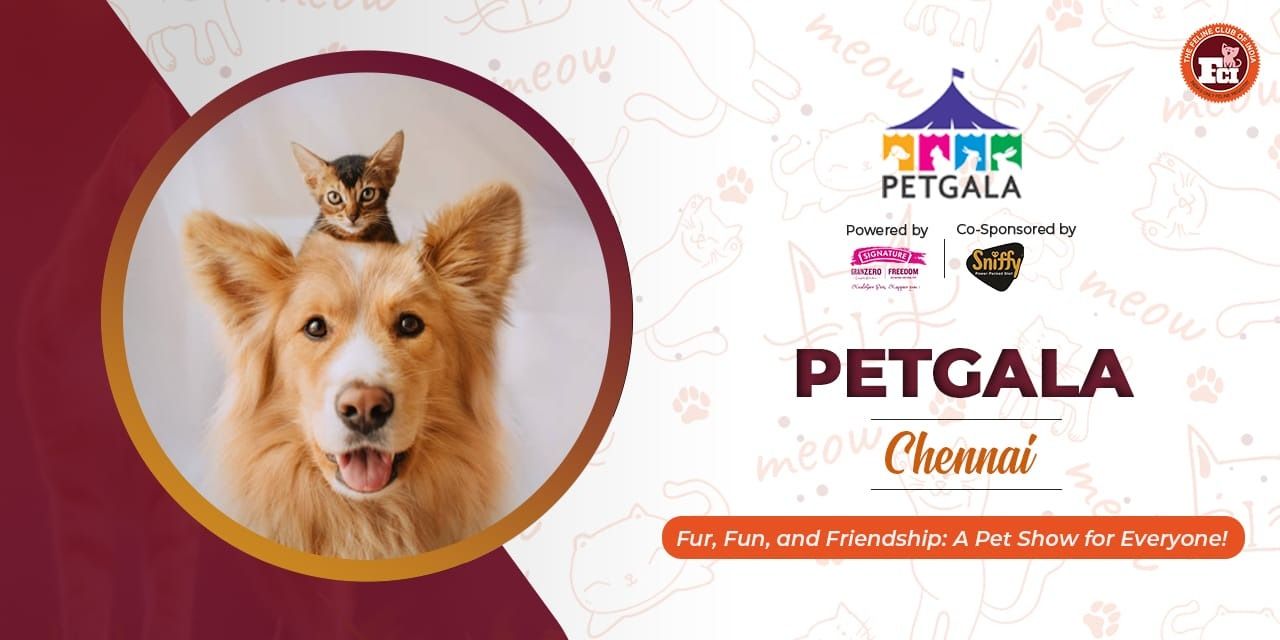 media-desktop-petgala-chennai-0-2023-2-27-t-7-48-48.jpg