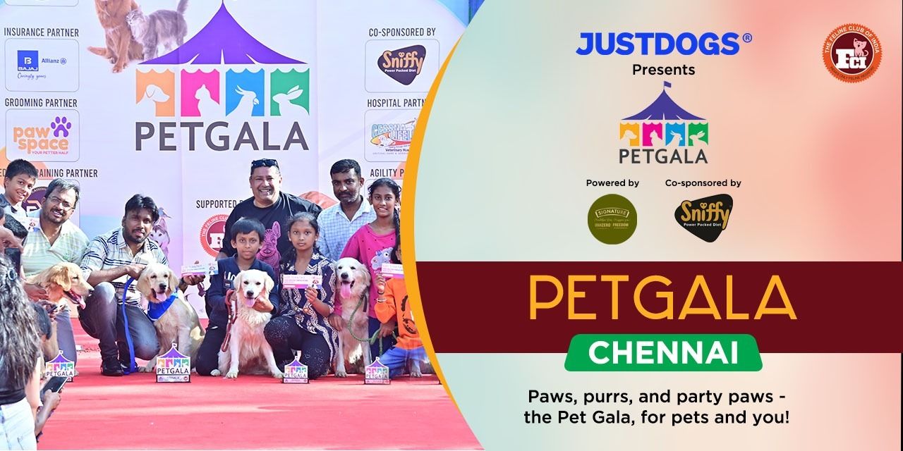 media-desktop-petgala-chennai-0-2024-2-2-t-8-51-16.jpg