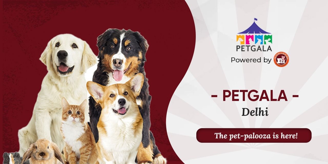 media-desktop-petgala-delhi-0-2023-1-9-t-12-33-40.jpg
