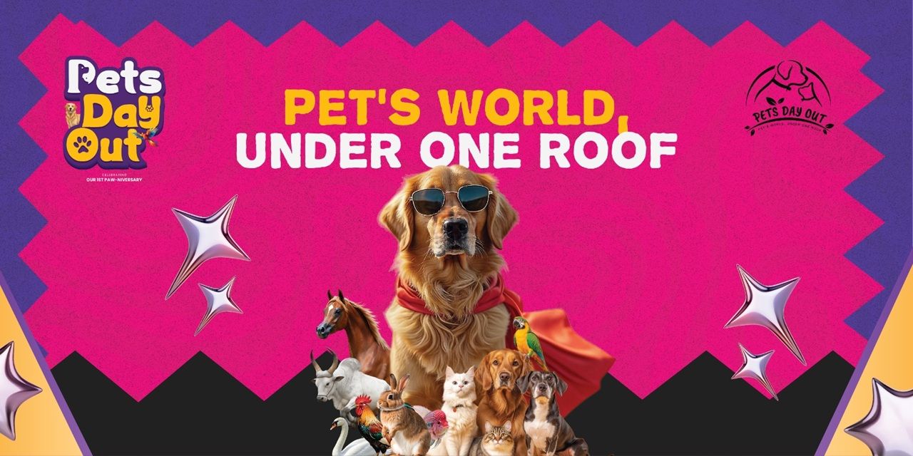 media-desktop-pets-day-out-2026-0-2026-6-1-t-6-6-11.jpg
