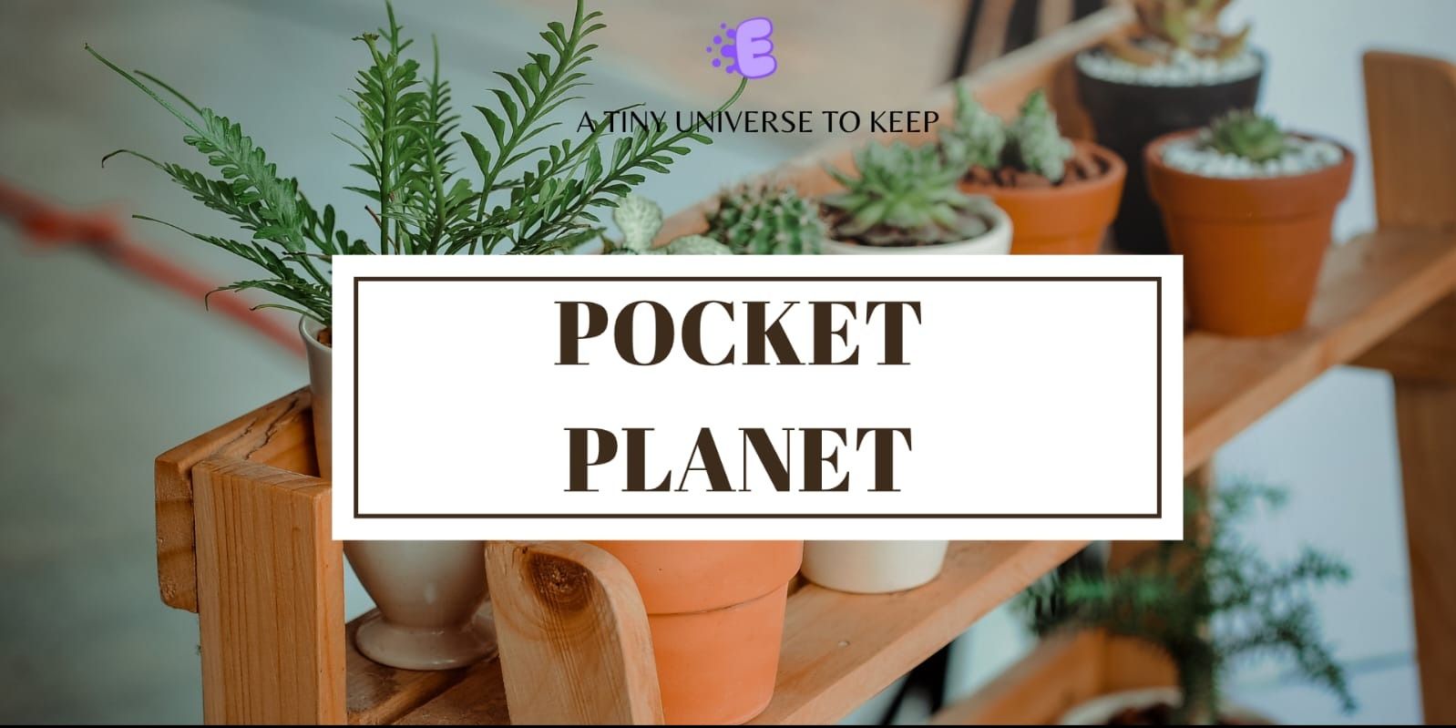 media-desktop-pocket-plant-0-2026-8-11-t-19-20-12.jpg