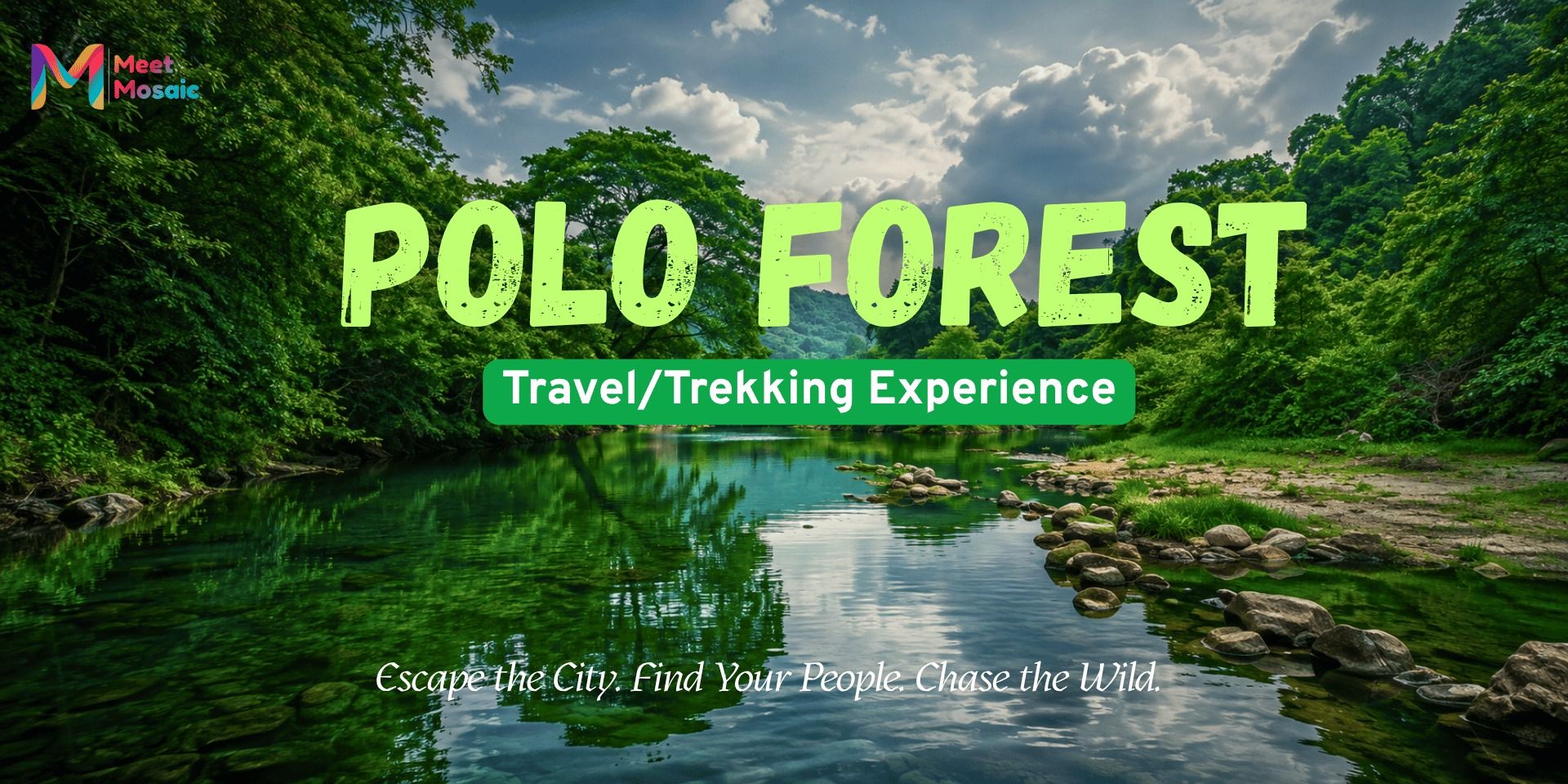 media-desktop-polo-forest-escape-0-2026-8-19-t-8-27-54.jpg