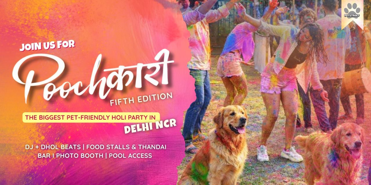 media-desktop-poochkari-5-0-pet-friendly-holi-party-0-2026-1-27-t-4-51-48.jpg