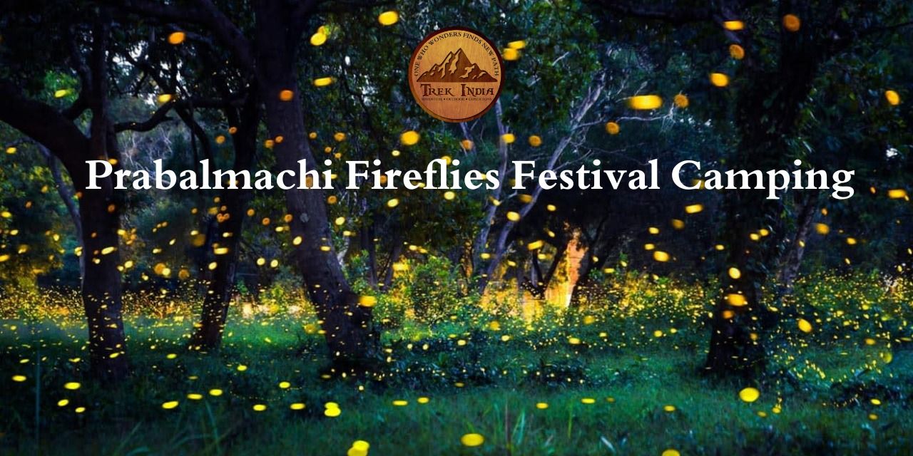 media-desktop-prabalmachi-fireflies-camping-trek-india-0-2026-5-13-t-10-16-0.jpg