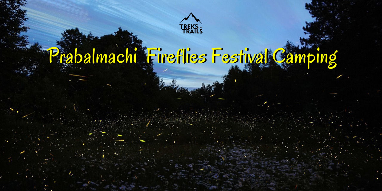 media-desktop-prabalmachi-fireflies-camping-treks-and-trails-0-2024-4-23-t-11-3-42.jpg