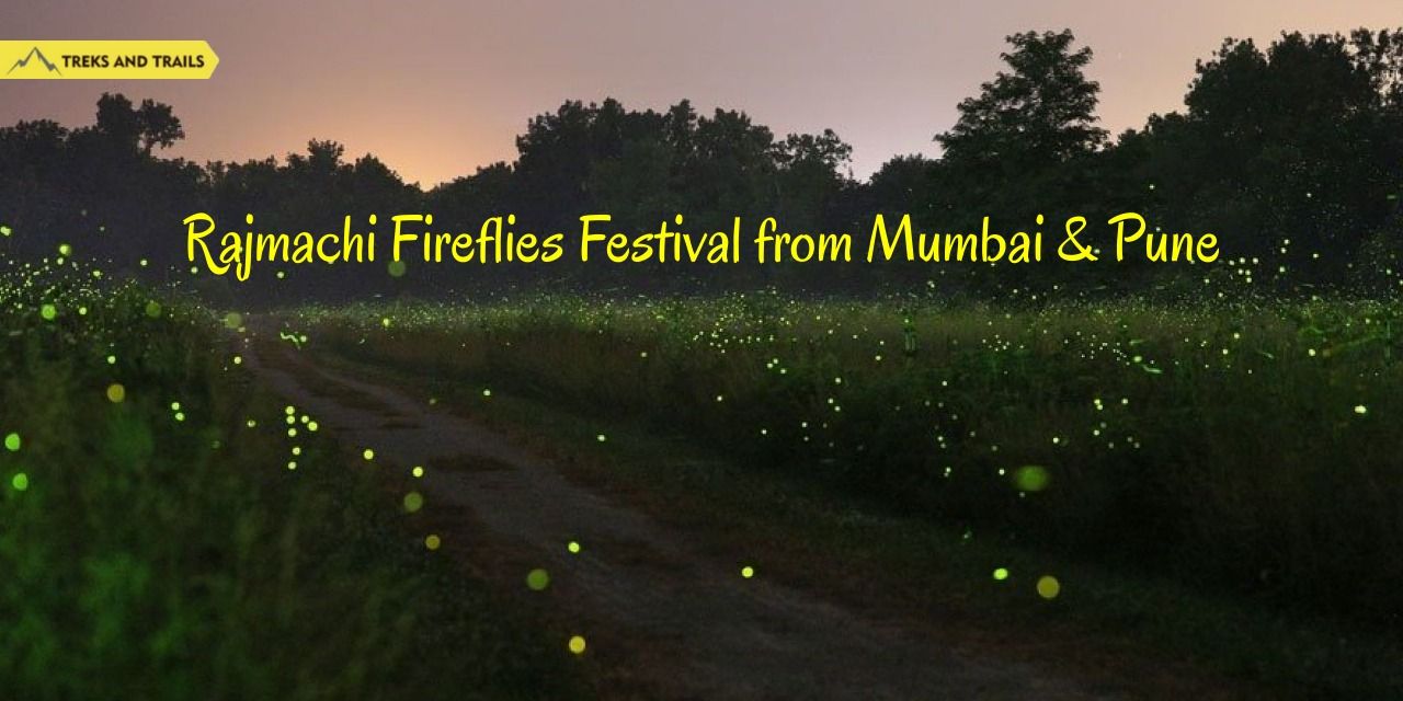 media-desktop-rajmachi-fireflies-trek-treks-and-trails-0-2026-5-20-t-15-17-50.jpg