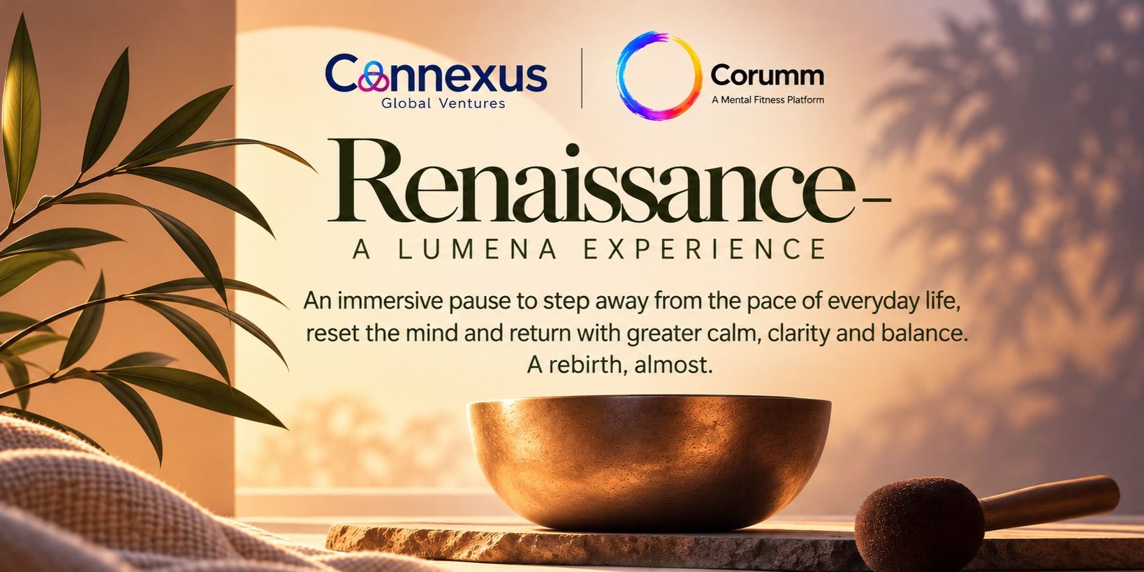media-desktop-renaissance-a-lumena-experience-0-2026-9-15-t-10-2-48.jpg