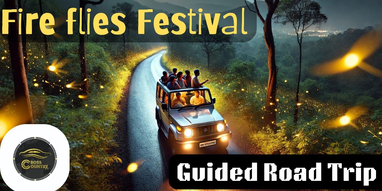 media-desktop-road-trip-to-fire-flies-festival-0-2025-3-26-t-1-23-52.jpg