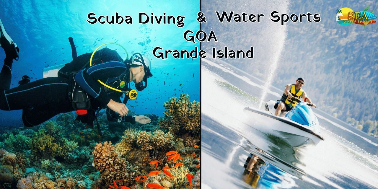 media-desktop-scuba-diving-water-sports-at-grande-island-0-2024-2-12-t-12-26-5.jpg