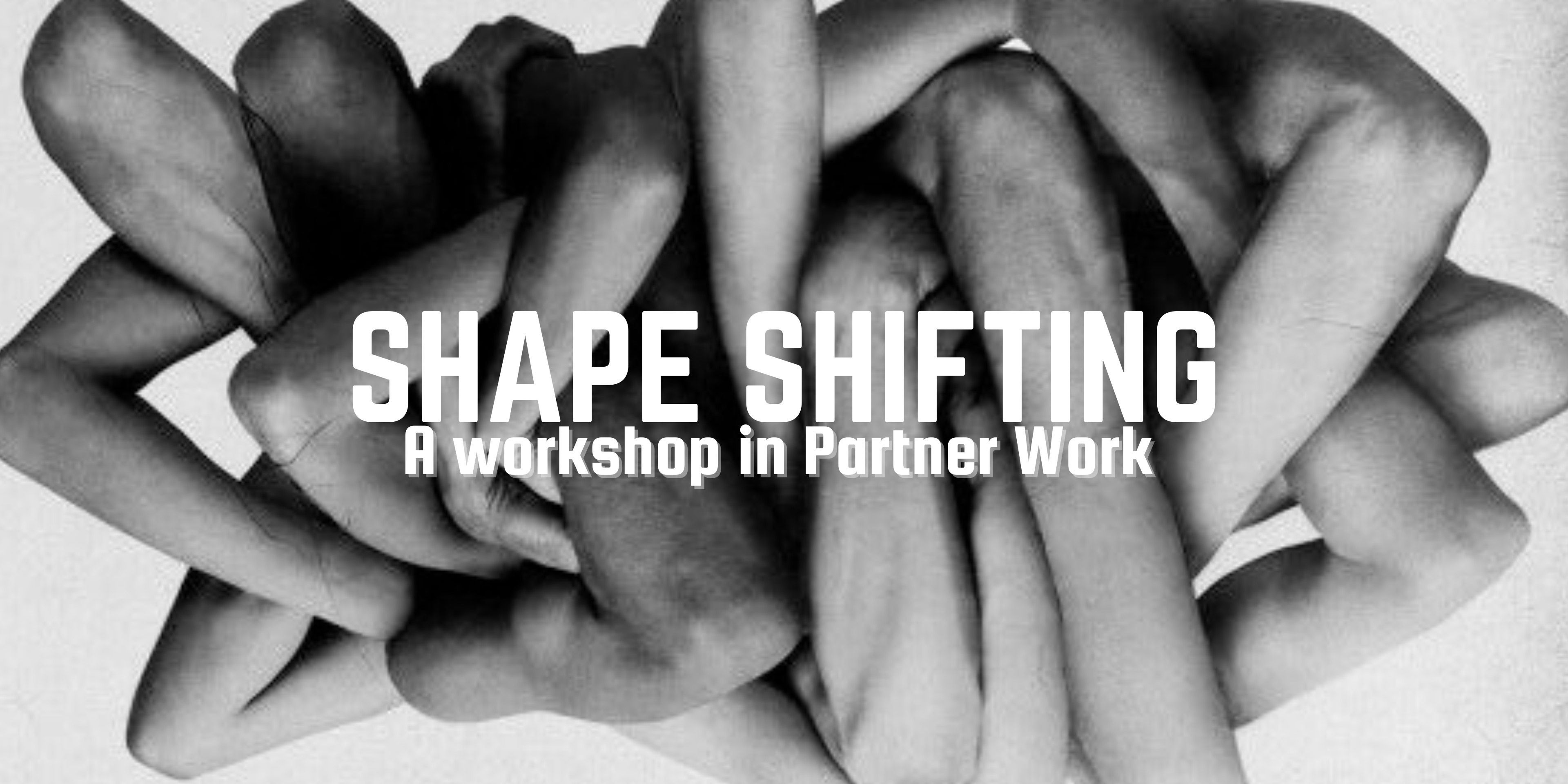 media-desktop-shape-shifting-0-2023-11-28-t-6-24-44.jpg