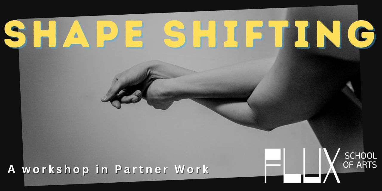 media-desktop-shape-shifting-partner-work-dance-workshop-0-2024-3-21-t-11-58-46.jpg