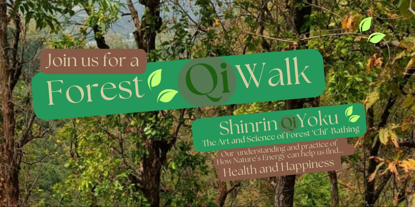 media-desktop-shinrin-yoku-forest-qi-bathing-forest-walk-0-2026-6-23-t-16-30-25.jpg