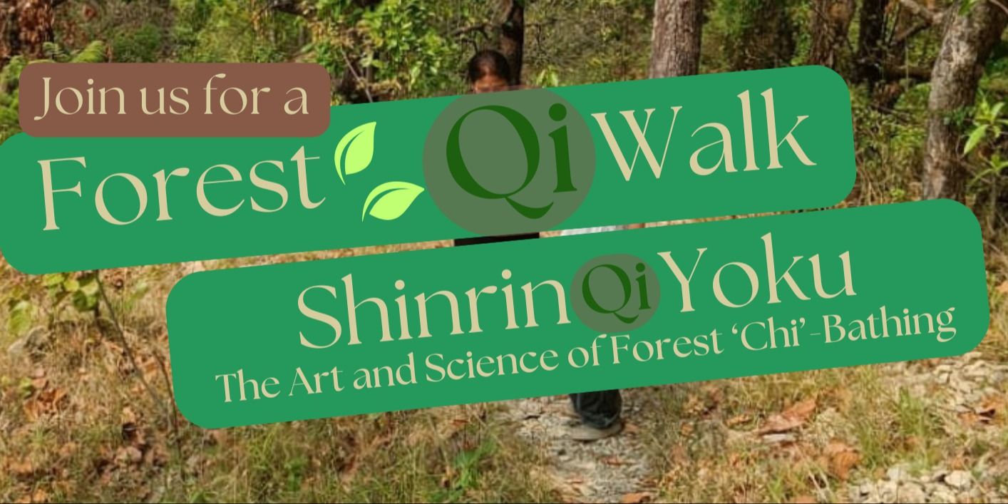 media-desktop-shinrin-yoku-forest-qi-bathing-forest-walk-1-2026-6-23-t-16-30-25.jpg