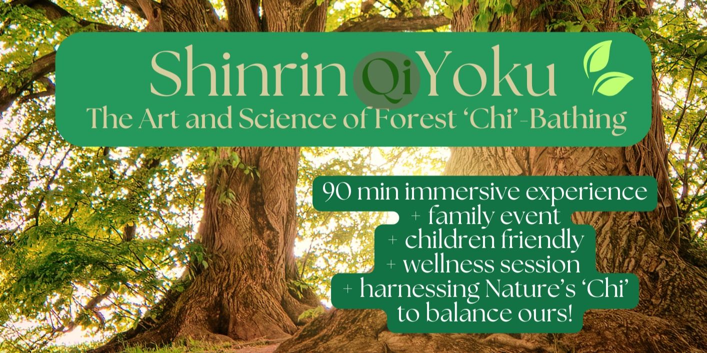 media-desktop-shinrin-yoku-the-art-of-forest-chi-bathing-0-2026-6-17-t-6-52-28.jpg