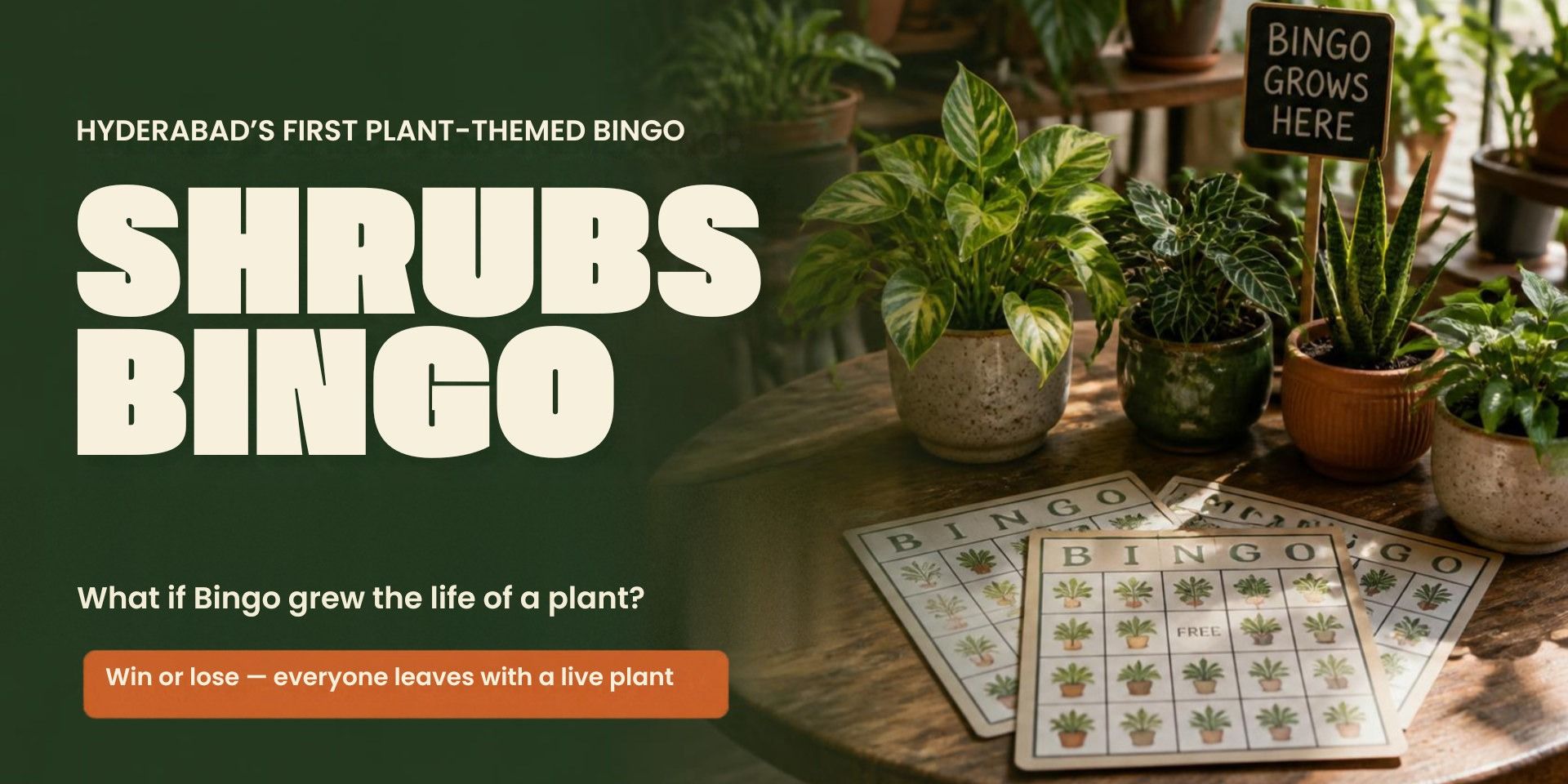 media-desktop-shrubs-bingo-0-2026-10-2-t-15-40-14.jpg