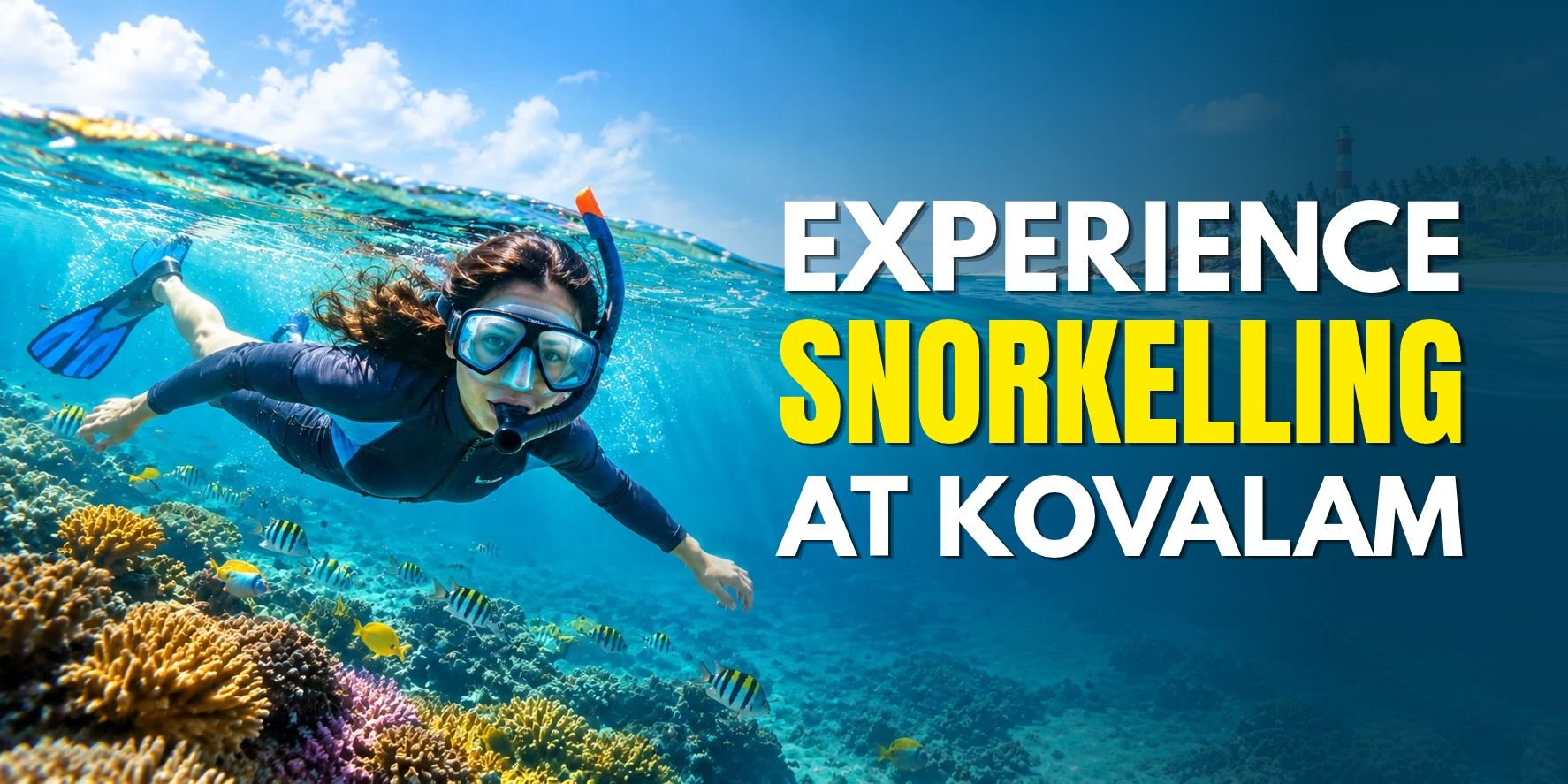 media-desktop-snorkelling-0-2026-9-15-t-15-7-34.jpg