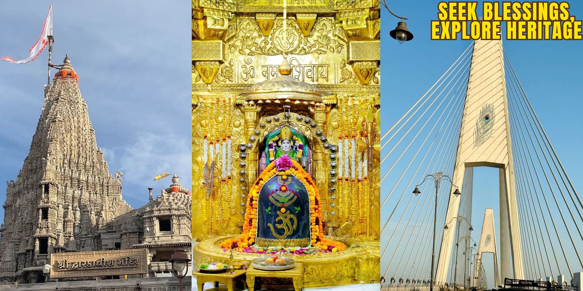 media-desktop-somnath-dwarka-and-nageshwar-tour-1-2026-6-19-t-7-53-39.jpg