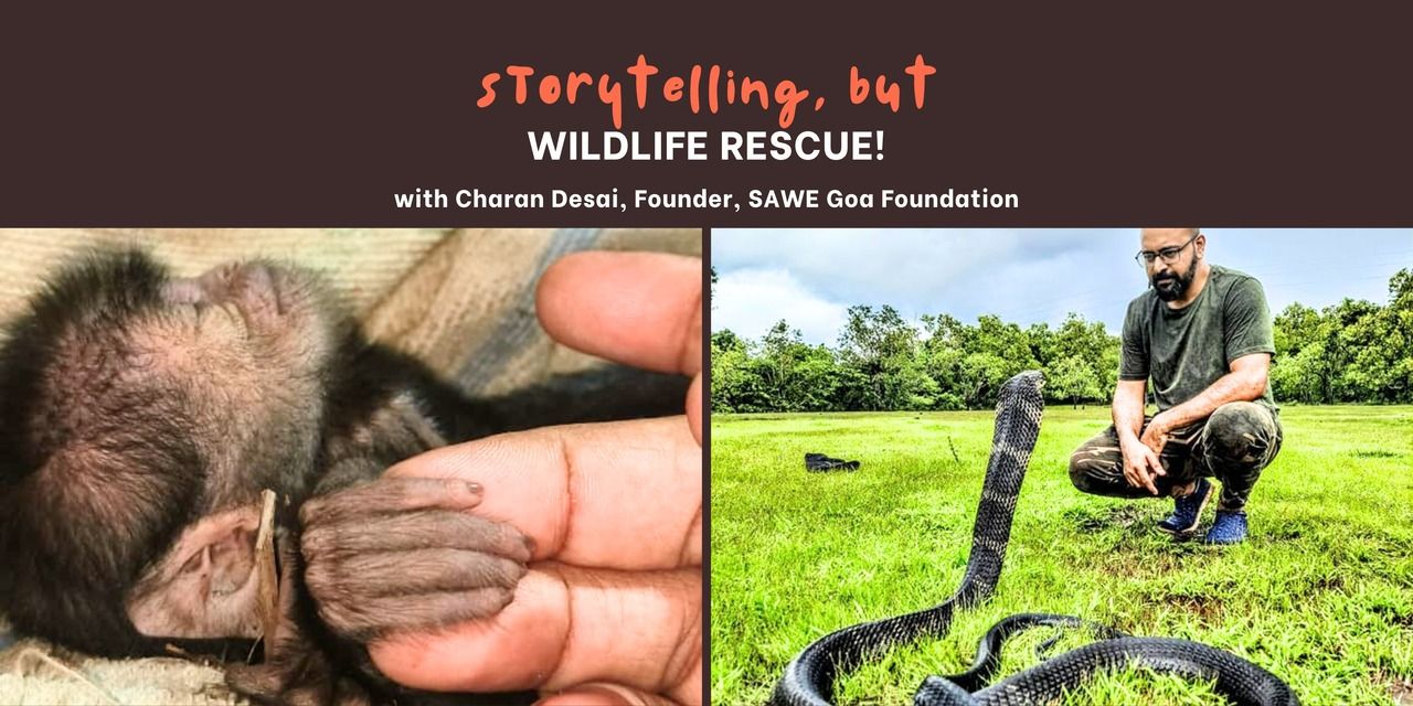 Storytelling, but wildlife rescue English storytelling Play in Pune Tickets - BookMyShow
