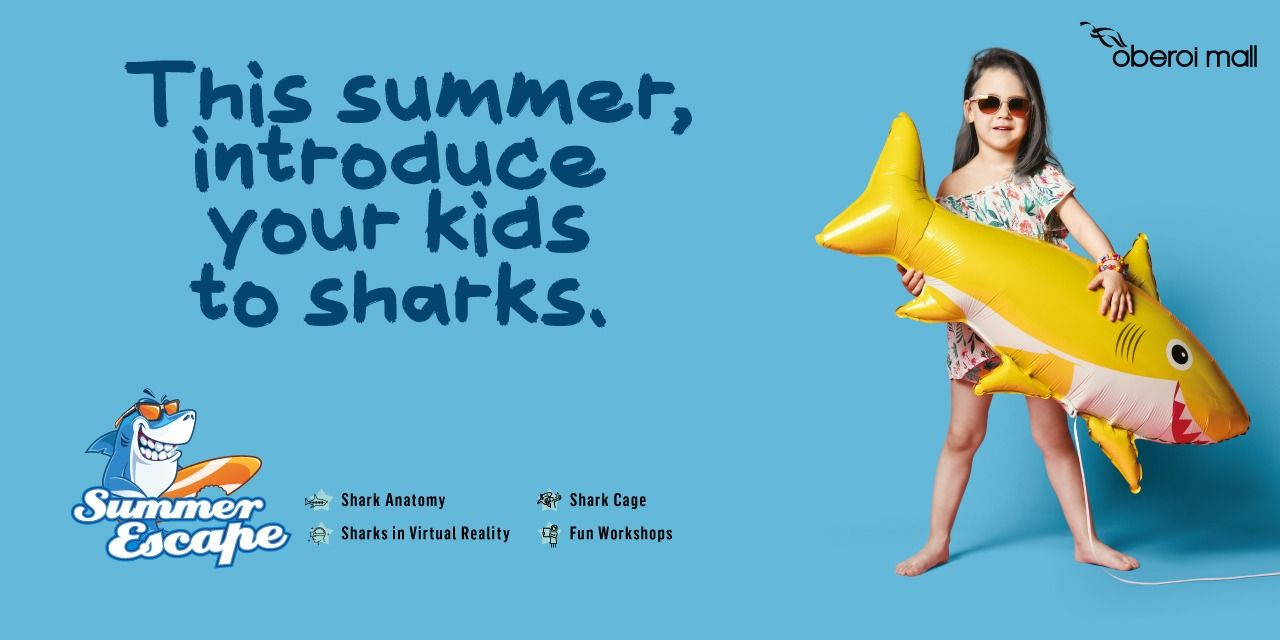 media-desktop-summer-escape-0-2023-5-18-t-6-34-51.jpg
