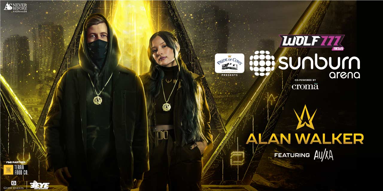 media-desktop-sunburn-arena-ft-alan-walker-ahmedabad-0-2022-9-19-t-10-22-9.jpg