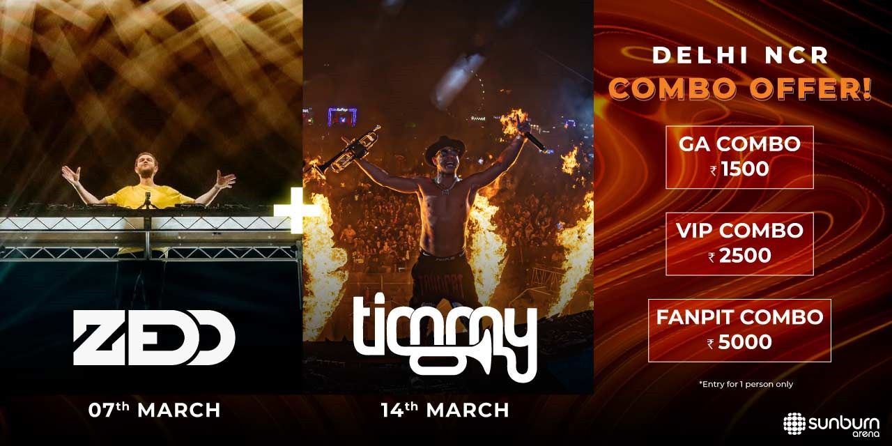 media-desktop-sunburn-arena-ft-zedd-delhi-ncr-3-2025-2-6-t-11-23-25.jpg