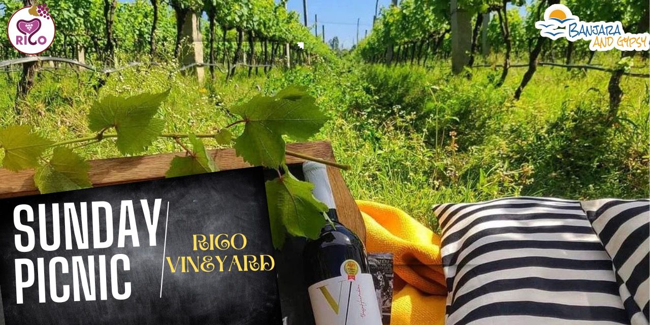 media-desktop-sunday-picnic-at-rico-vineyard-0-2023-5-21-t-4-47-57.jpg