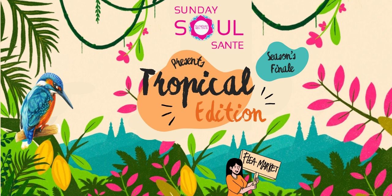 media-desktop-sunday-soul-sante-0-2024-4-18-t-13-10-39.jpg