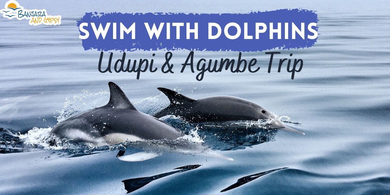 media-desktop-swim-with-dolphins-udupi-and-agumbe-trip-0-2023-4-20-t-14-52-1.jpg